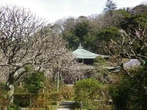 瑞泉寺のその他建物