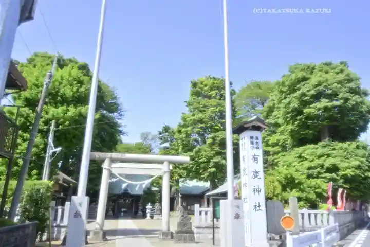 有鹿神社(神奈川県)