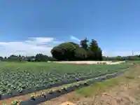 八幡神社(千葉県)