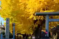 飛木稲荷神社(東京都)