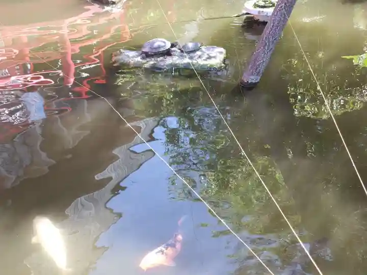 今泉八坂神社(栃木県)