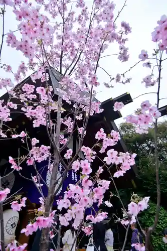 東京大神宮(東京都)