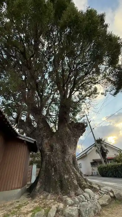 野郷神社(徳島県)