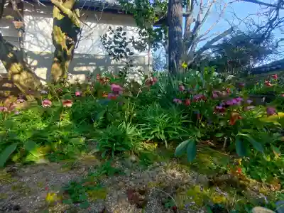 子安地蔵寺の{uncategorized: "未分類", other: "その他", undefined: "問題あり", building: "その他建物", grave: "お墓", sacred_gate: "鳥居", guardian: "狛犬", statue: "像", buddha: "仏像", history: "歴史", nature: "自然", garden: "庭園", animal: "動物", pagoda: "塔", temizu: "手水舎", mountain_gate: "山門・神門", sanctuary: "本殿・本堂", subordinate: "末社・摂社", art: "芸術", scenery: "景色", jizo: "地蔵", ema: "絵馬", goshuin: "御朱印", omikuji: "おみくじ", items: "授与品その他", amulet: "お守り", goshuincho: "御朱印帳", eats: "食事", festival: "お祭り", votive_dance: "神楽", shichigosan: "七五三参", wedding: "結婚式", experience: "体験その他", initially: "初詣", around: "周辺", anti_infection: "感染症対策"}