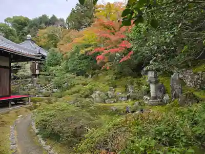 霊鑑寺門跡(京都府)