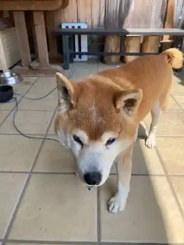 原江寺(山口県)