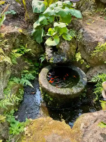 蓮馨寺(静岡県)