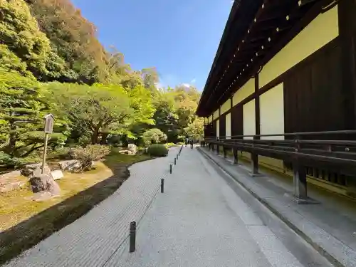 知恩院の{uncategorized: "未分類", other: "その他", undefined: "問題あり", building: "その他建物", grave: "お墓", sacred_gate: "鳥居", guardian: "狛犬", statue: "像", buddha: "仏像", history: "歴史", nature: "自然", garden: "庭園", animal: "動物", pagoda: "塔", temizu: "手水舎", mountain_gate: "山門・神門", sanctuary: "本殿・本堂", subordinate: "末社・摂社", art: "芸術", scenery: "景色", jizo: "地蔵", ema: "絵馬", goshuin: "御朱印", omikuji: "おみくじ", items: "授与品その他", amulet: "お守り", goshuincho: "御朱印帳", eats: "食事", festival: "お祭り", votive_dance: "神楽", shichigosan: "七五三参", wedding: "結婚式", experience: "体験その他", initially: "初詣", around: "周辺", anti_infection: "感染症対策"}