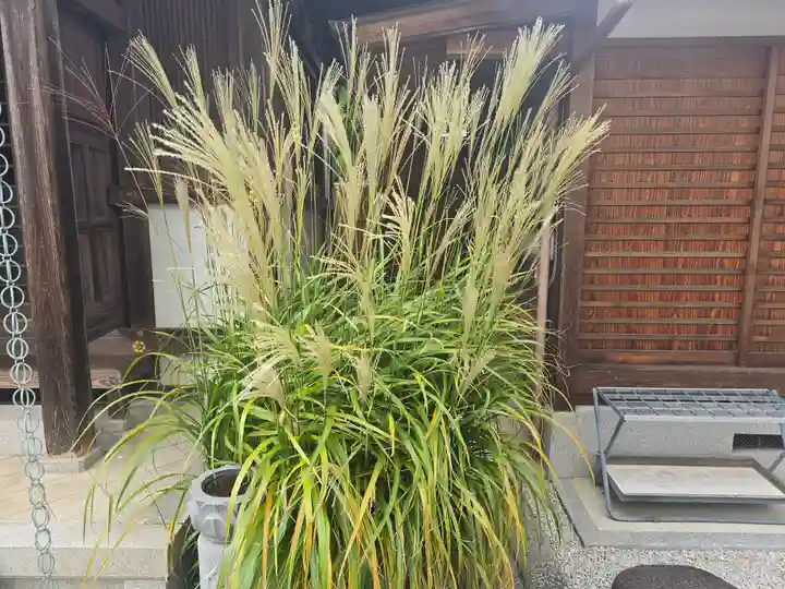 心念寺(奈良県)