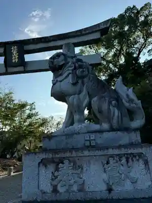 沙沙貴神社の狛犬