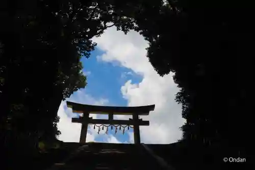 大宮八幡宮(兵庫県)