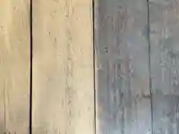 許麻神社(大阪府)