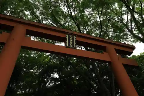 世田谷八幡宮(東京都)