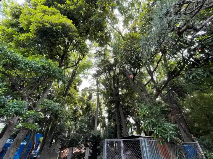六郷神社の周辺