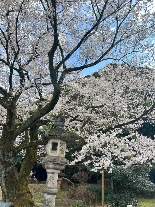 岐阜護國神社の{uncategorized: "未分類", other: "その他", undefined: "問題あり", building: "その他建物", grave: "お墓", sacred_gate: "鳥居", guardian: "狛犬", statue: "像", buddha: "仏像", history: "歴史", nature: "自然", garden: "庭園", animal: "動物", pagoda: "塔", temizu: "手水舎", mountain_gate: "山門・神門", sanctuary: "本殿・本堂", subordinate: "末社・摂社", art: "芸術", scenery: "景色", jizo: "地蔵", ema: "絵馬", goshuin: "御朱印", omikuji: "おみくじ", items: "授与品その他", amulet: "お守り", goshuincho: "御朱印帳", eats: "食事", festival: "お祭り", votive_dance: "神楽", shichigosan: "七五三参", wedding: "結婚式", experience: "体験その他", initially: "初詣", around: "周辺", anti_infection: "感染症対策"}