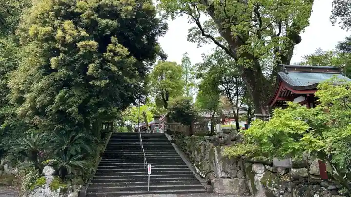 鹿児島神宮(鹿児島県)