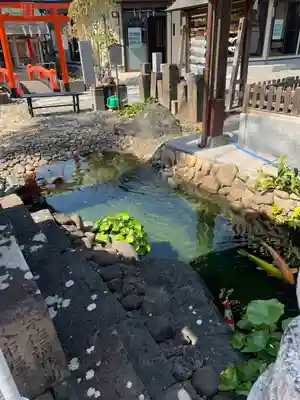 薫的神社の動物