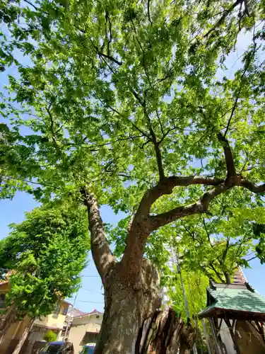 阿邪訶根神社(福島県)