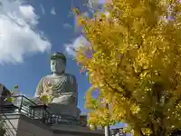 能福寺(兵庫県)