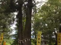 聖神社の建物その他