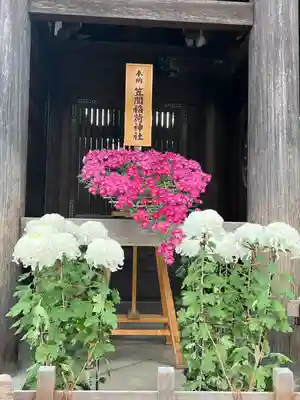 明治神宮(東京都)