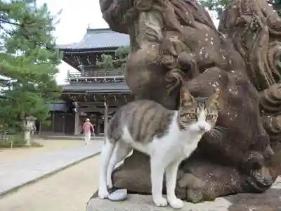 智恩寺(京都府)