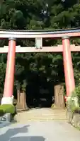 河口浅間神社の鳥居