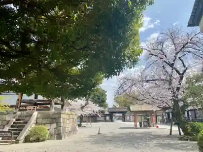 東寺（教王護国寺）(京都府)