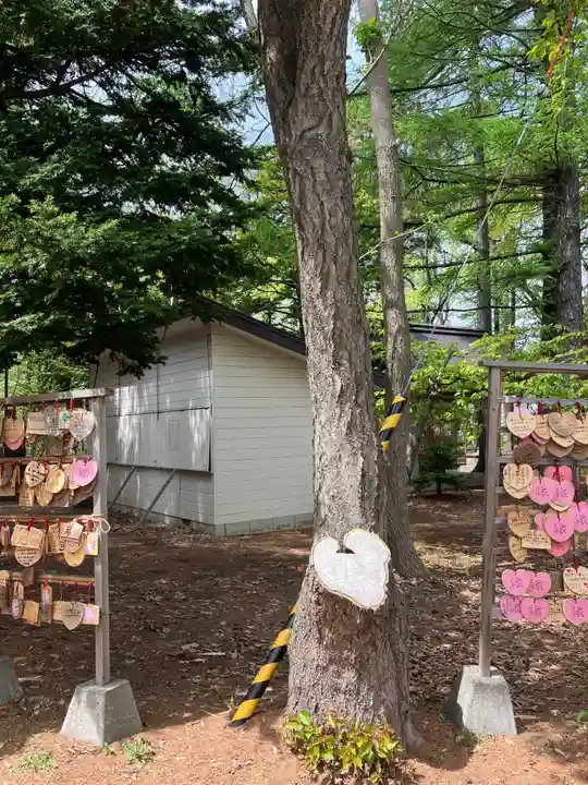 大谷地神社の自然