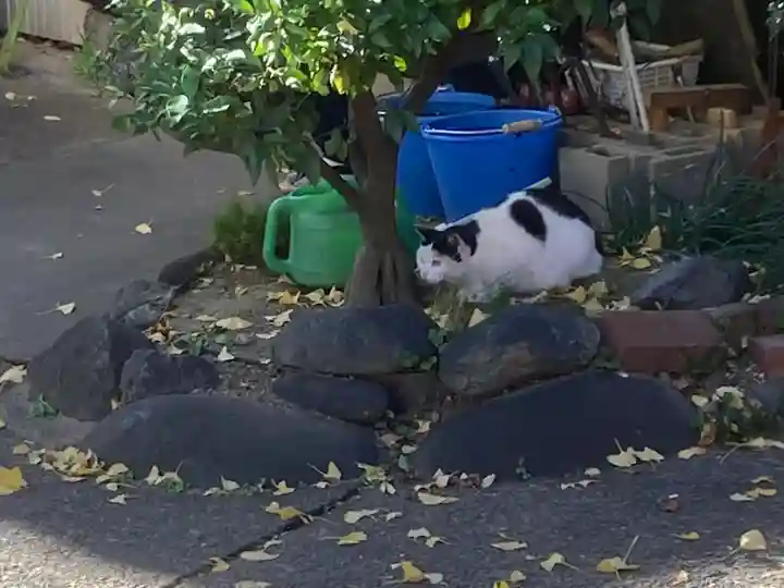 杉山大神(神奈川県)
