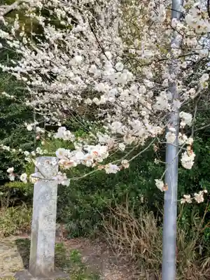 下野 星宮神社(栃木県)