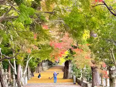 積田神社(三重県)