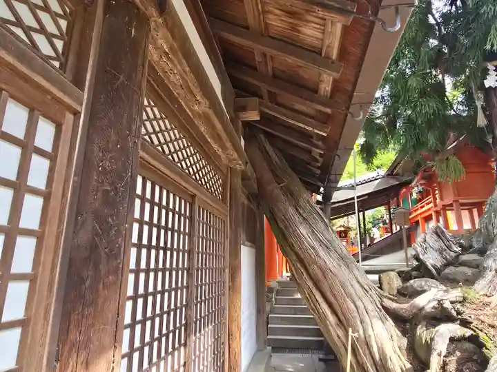 春日大社(奈良県)