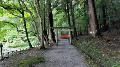 出雲大神宮(京都府)