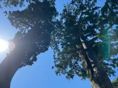 瑞巌寺(宮城県)