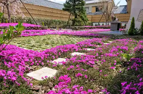 寿量山　速成寺の庭園