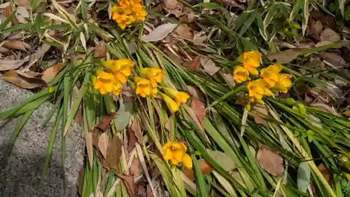 植槻八幡神社(奈良県)