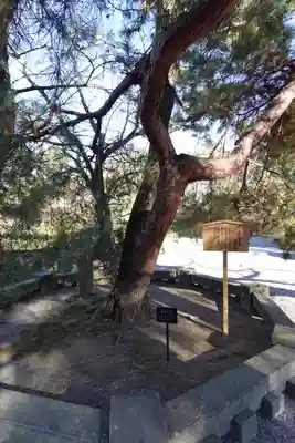 三嶋大社(静岡県)