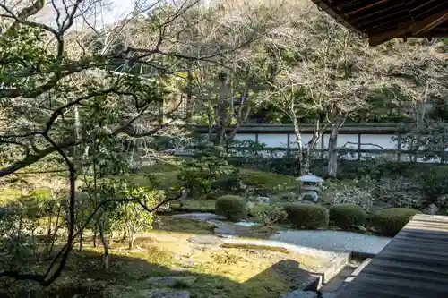 御寺 泉涌寺の庭園