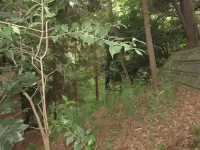 前玉神社(埼玉県)