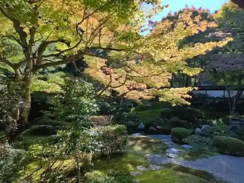 御寺 泉涌寺(京都府)