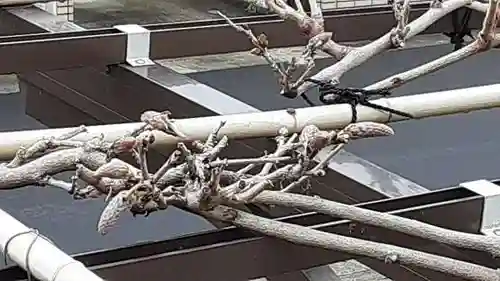 西方山極楽寺(岐阜県)