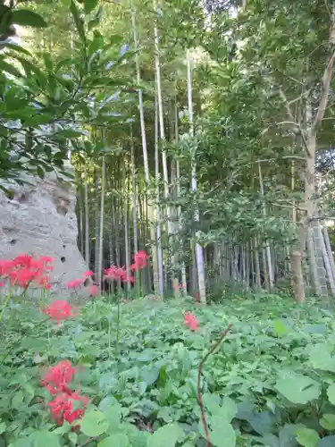 英勝寺の庭園