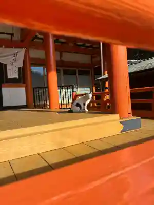 龍泉寺(愛知県)