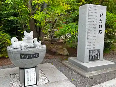住吉神社のその他建物