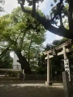 青渭神社(東京都)
