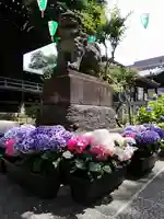 白山神社の狛犬