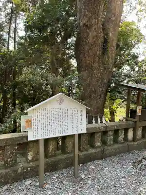久能山東照宮の{uncategorized: "未分類", other: "その他", undefined: "問題あり", building: "その他建物", grave: "お墓", sacred_gate: "鳥居", guardian: "狛犬", statue: "像", buddha: "仏像", history: "歴史", nature: "自然", garden: "庭園", animal: "動物", pagoda: "塔", temizu: "手水舎", mountain_gate: "山門・神門", sanctuary: "本殿・本堂", subordinate: "末社・摂社", art: "芸術", scenery: "景色", jizo: "地蔵", ema: "絵馬", goshuin: "御朱印", omikuji: "おみくじ", items: "授与品その他", amulet: "お守り", goshuincho: "御朱印帳", eats: "食事", festival: "お祭り", votive_dance: "神楽", shichigosan: "七五三参", wedding: "結婚式", experience: "体験その他", initially: "初詣", around: "周辺", anti_infection: "感染症対策"}
