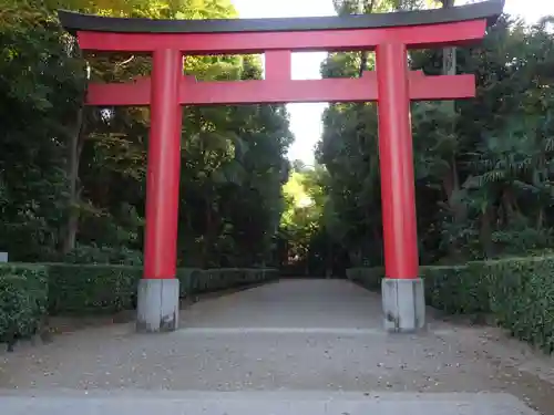 井草八幡宮の鳥居