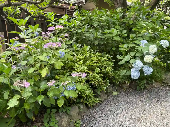頼光寺(兵庫県)